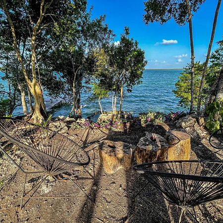 Bufo Alvarius Sanctuary Bacalar Buenavista  Dış mekan fotoğraf