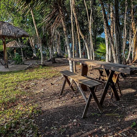 Bufo Alvarius Sanctuary Bacalar Buenavista  Dış mekan fotoğraf