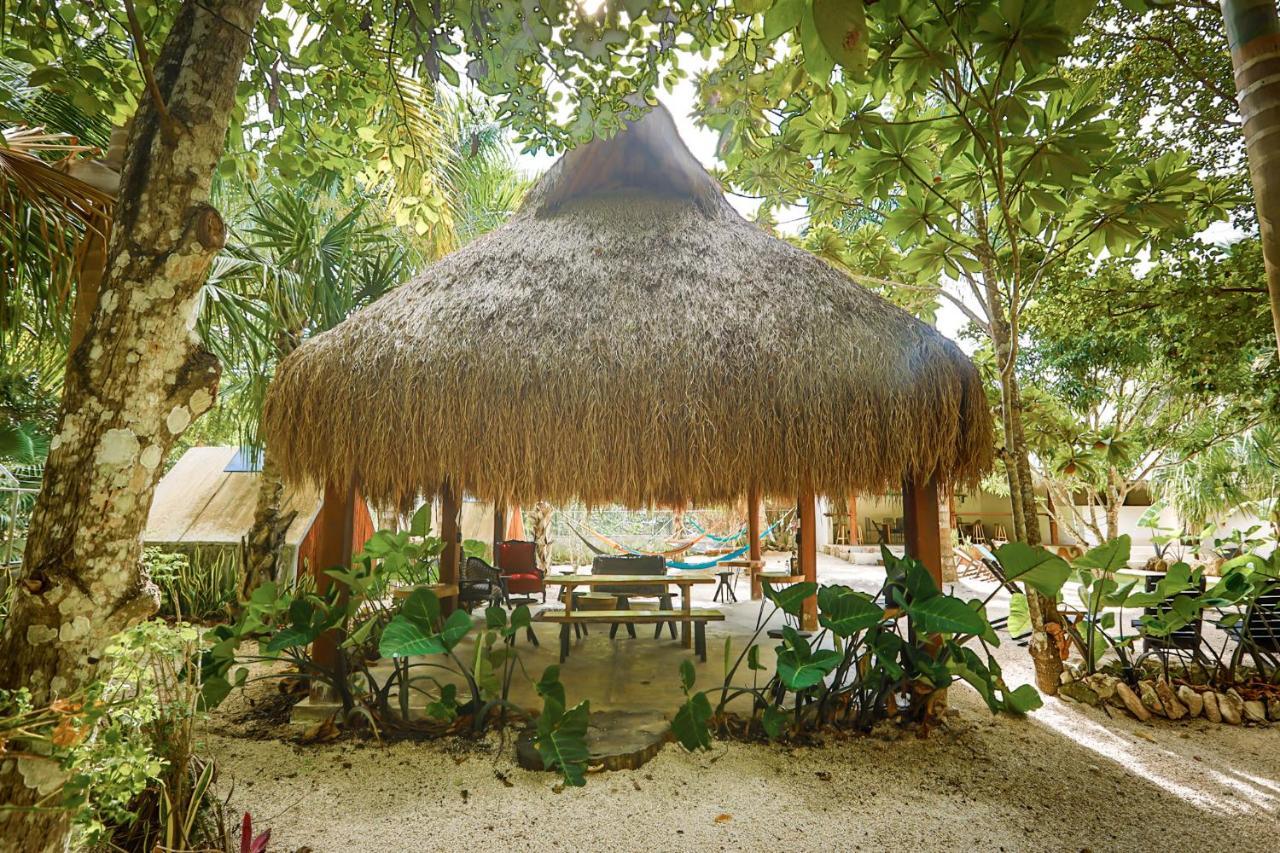 Bufo Alvarius Sanctuary Bacalar Buenavista  Dış mekan fotoğraf
