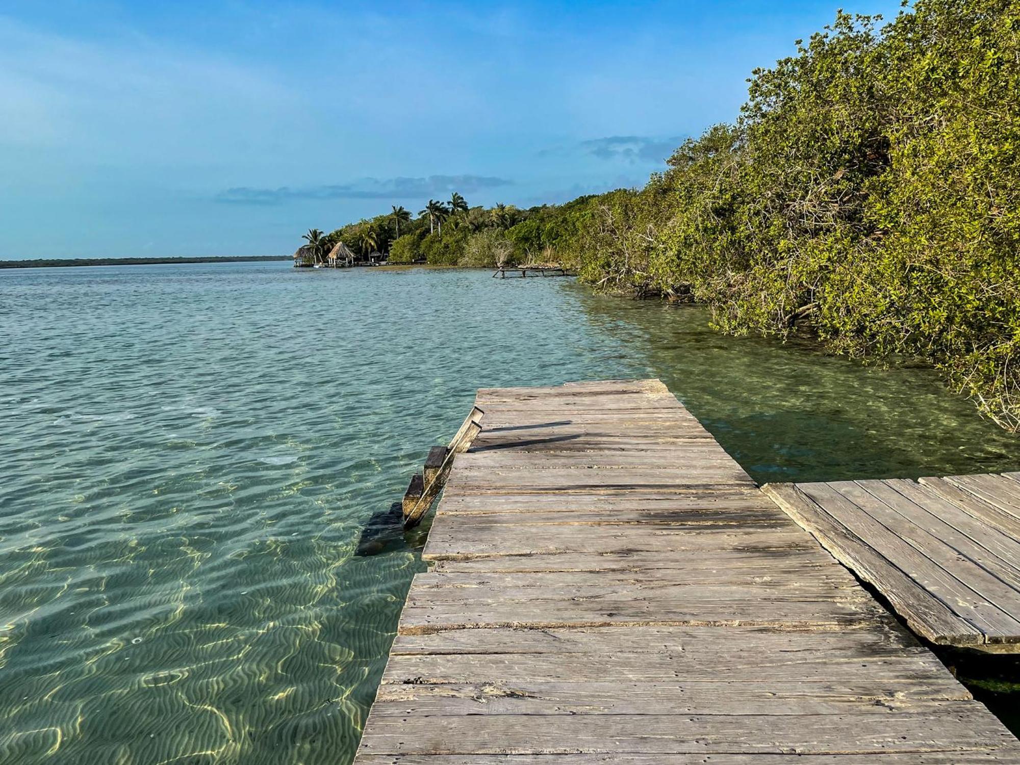 Bufo Alvarius Sanctuary Bacalar Buenavista  Dış mekan fotoğraf