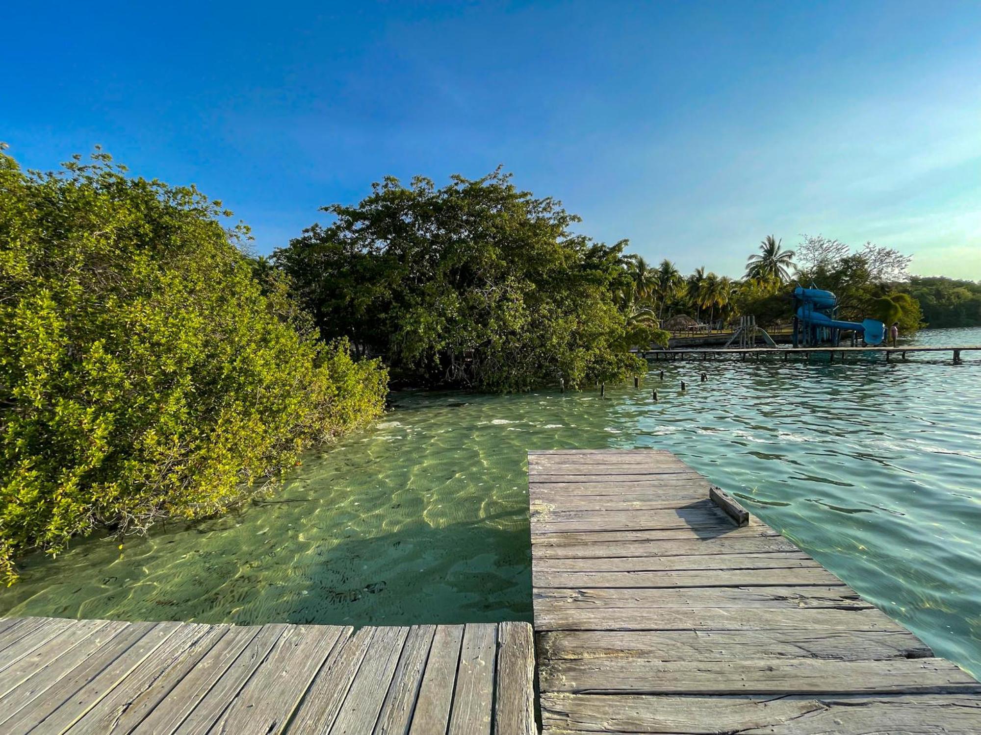 Bufo Alvarius Sanctuary Bacalar Buenavista  Dış mekan fotoğraf