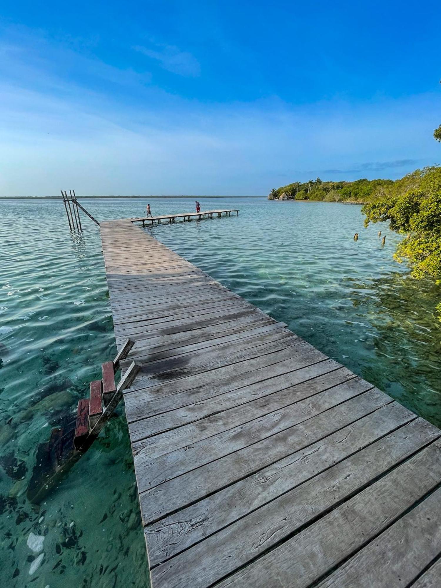 Bufo Alvarius Sanctuary Bacalar Buenavista  Dış mekan fotoğraf