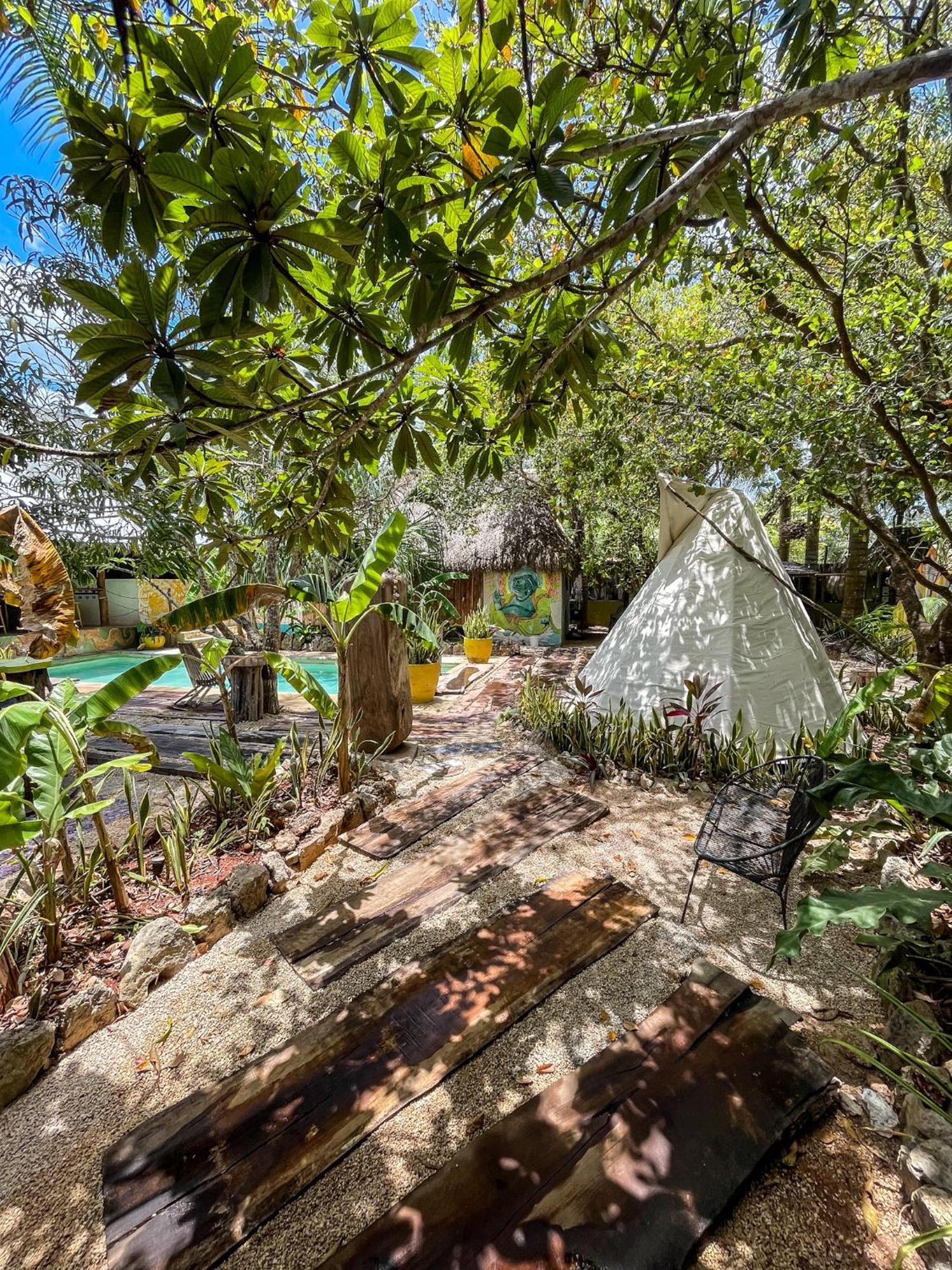 Bufo Alvarius Sanctuary Bacalar Buenavista  Dış mekan fotoğraf