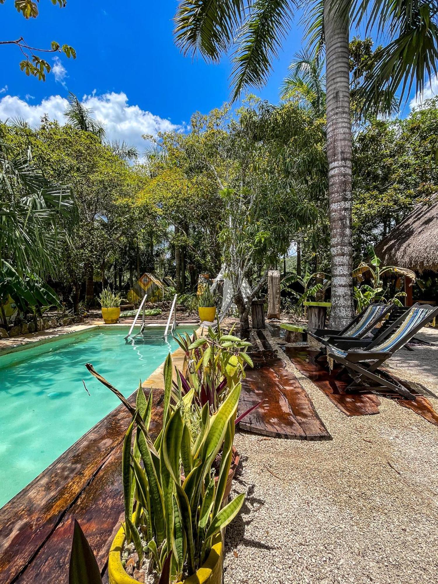 Bufo Alvarius Sanctuary Bacalar Buenavista  Dış mekan fotoğraf