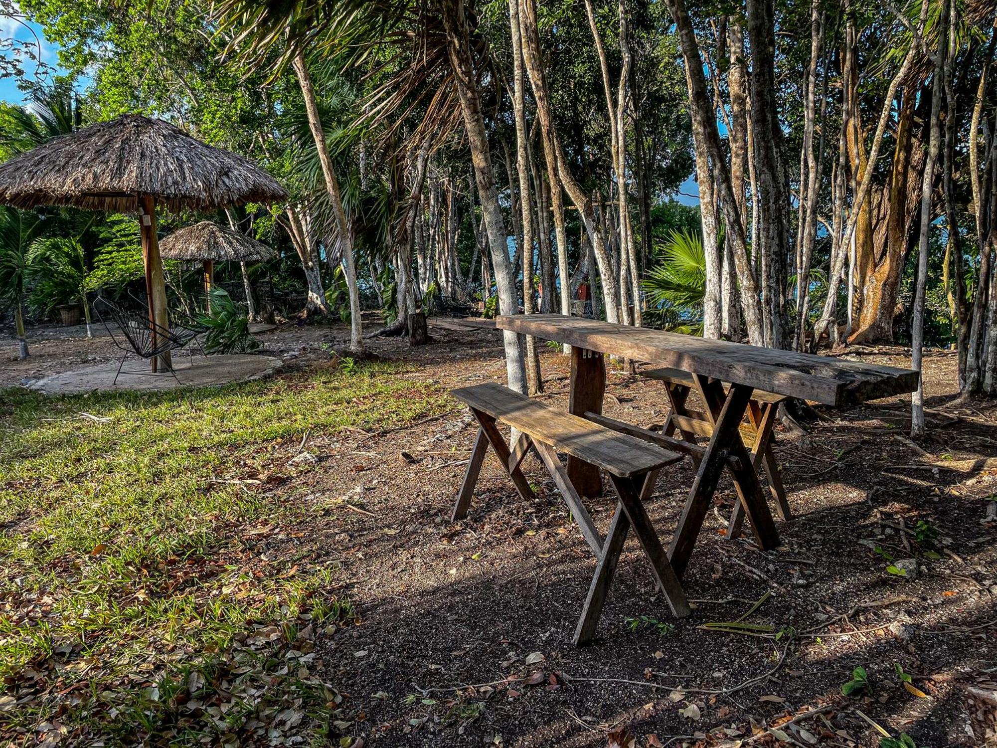 Bufo Alvarius Sanctuary Bacalar Buenavista  Dış mekan fotoğraf