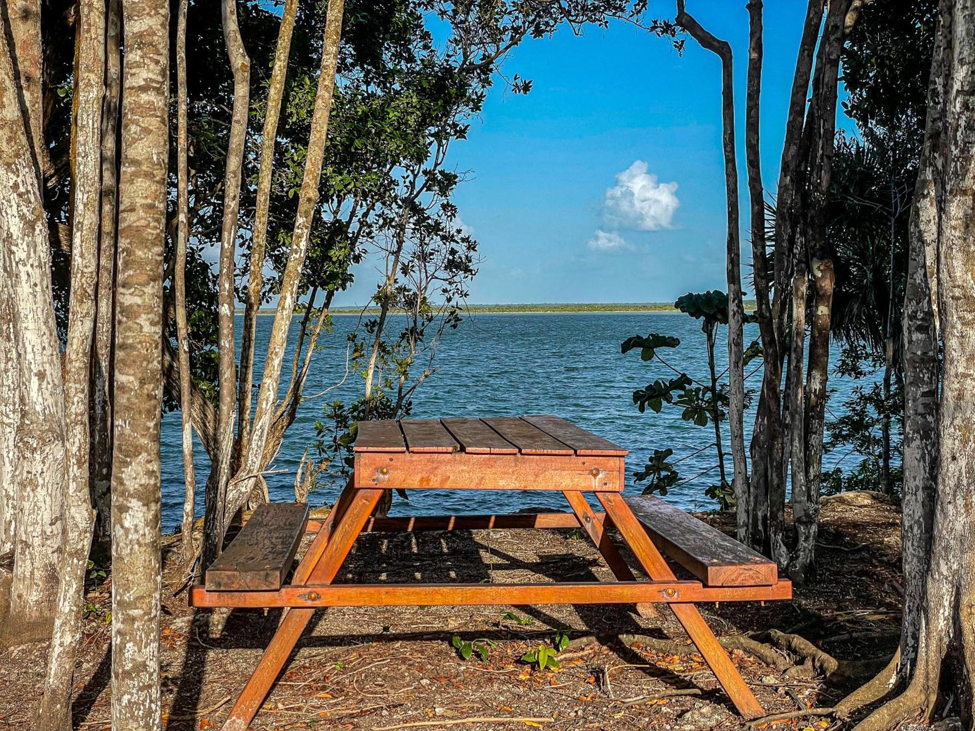 Bufo Alvarius Sanctuary Bacalar Buenavista  Dış mekan fotoğraf